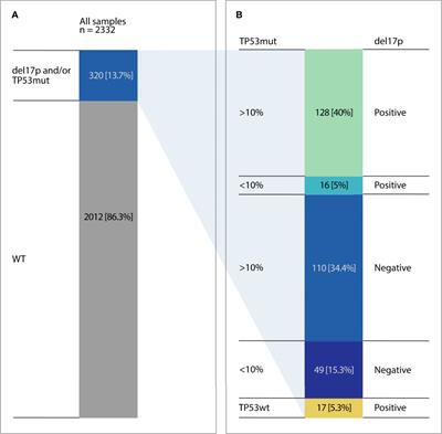 TP53 Mutations Identified Using NGS Comprise the Overwhelming Majority of TP53 Disruptions in CLL: Results From a Multicentre Study